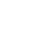 money icon