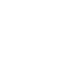 top quality icon